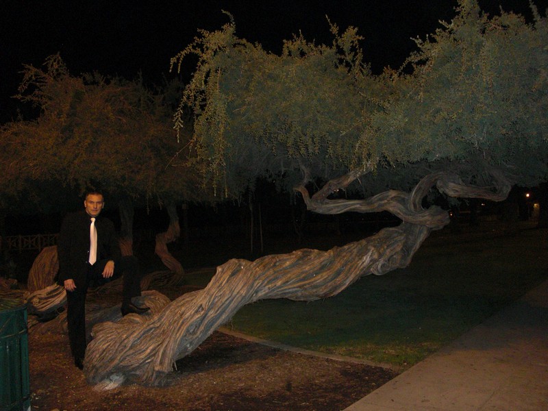The snake tree